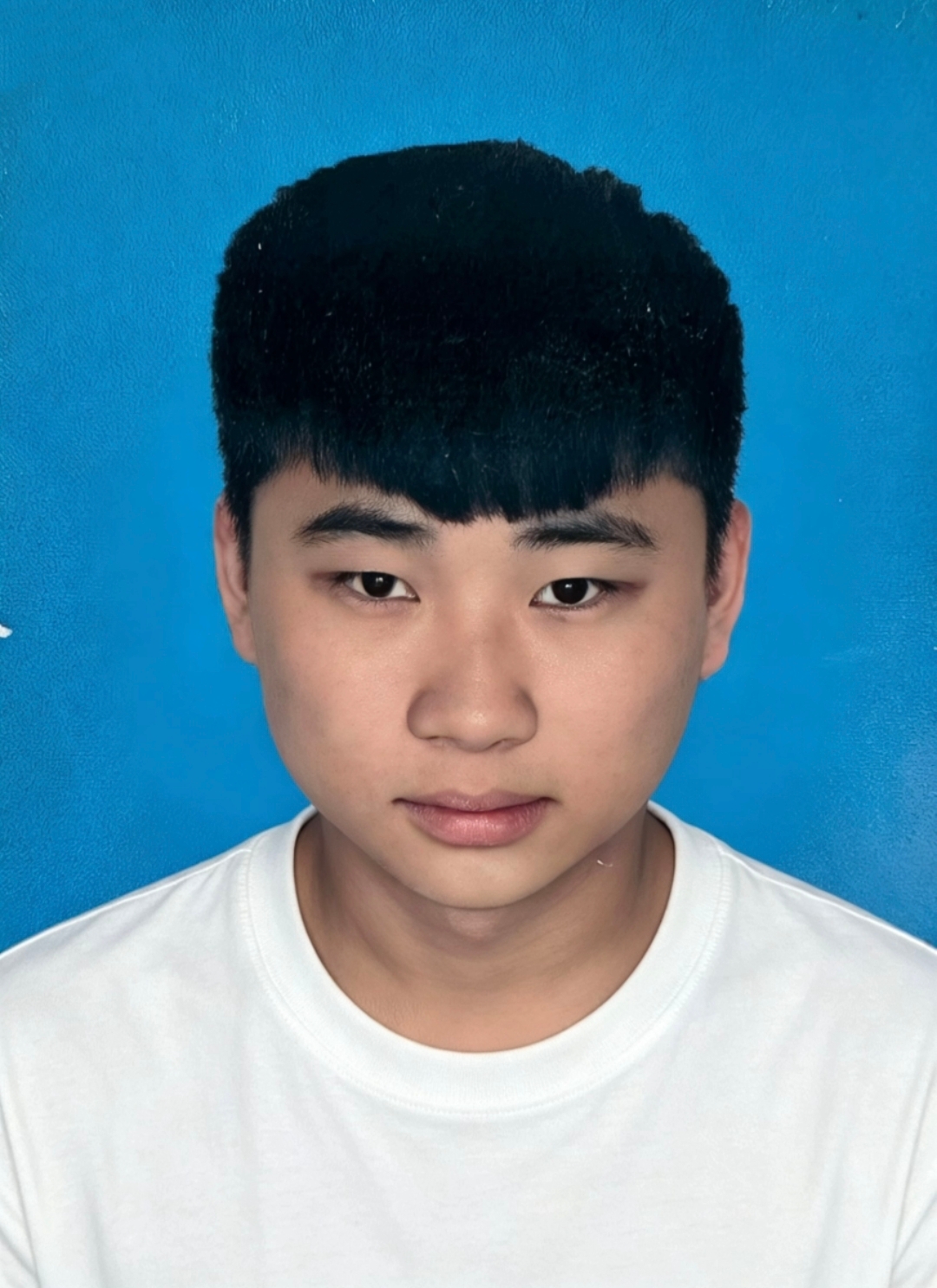 毕业证书
