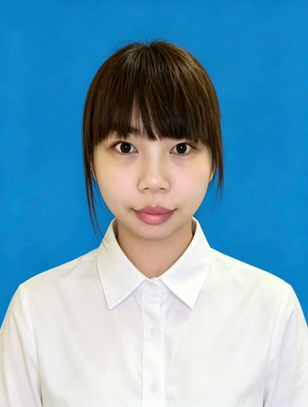 毕业证书
