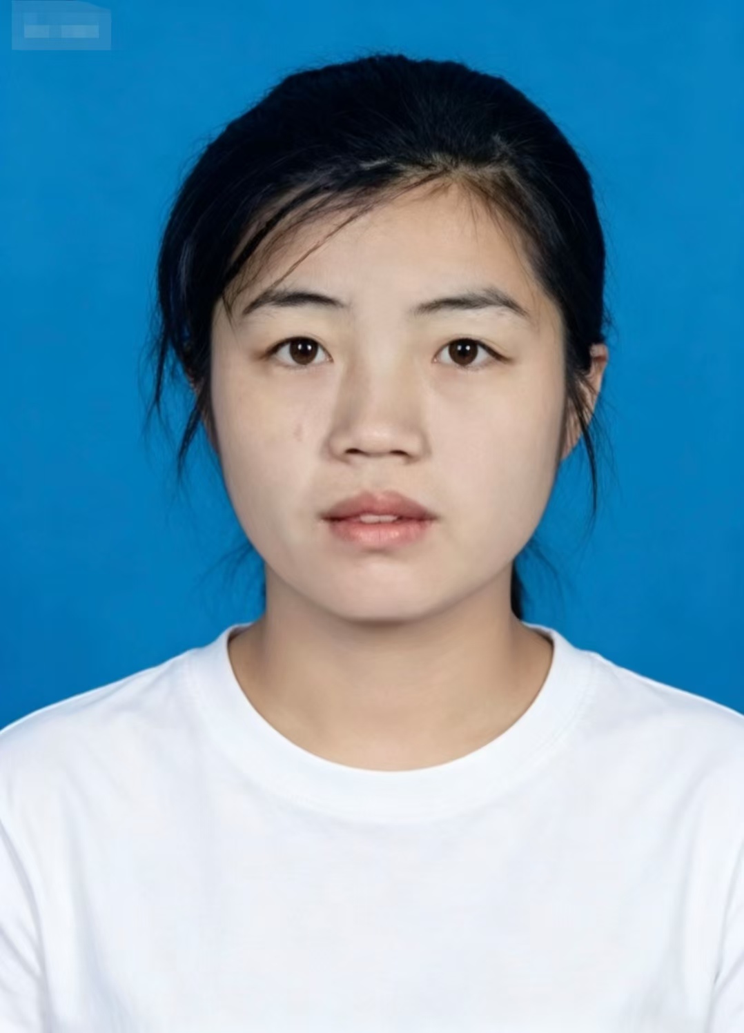 毕业证书